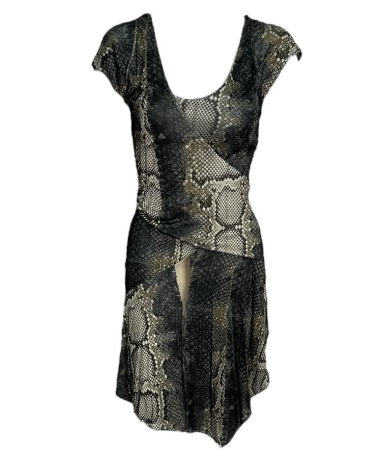 Roberto Cavalli python print dress